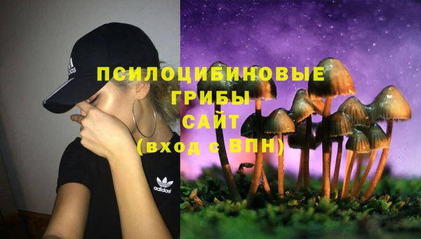 spice Волосово